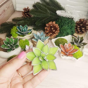 May include: Assortment of stained glass succulent plants in various colors, including green, blue, orange, and pink. The succulents are displayed in small white ceramic pots and on wooden slices.