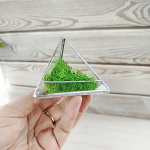 Mini Florarium stained glass, Triangular Florarium, Glass Geometric Terrarium, air plant holder, Terrarium pot, Stained glass pot