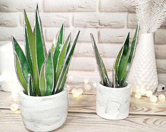 Agave stained glass, handmade plant decor, fake suncatcher, table 3d cactus, glass succulent