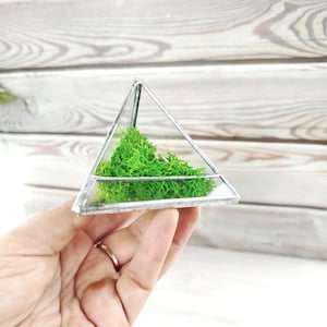 Mini Florarium in vetro colorato, terrario geometrico triangolare Florarium, vaso porta piante aeree