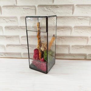 Glass terrarium, geometric terrarium, geometric vase, geometric glass box, Terrarium Container, Hanging terrarium, Succulent Planter
