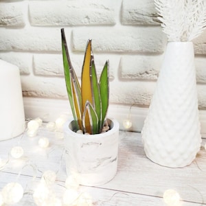 Agave Buntglas, handgemachte unechter Pflanzen Dekor Suncatcher, Natur Schreibtisch Sukkulente