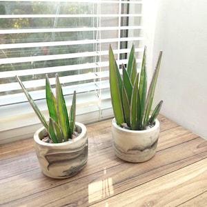 Agave stained glass, handmade Agave plant, Agave decor, fake plant, plants suncatcher, table plant decor, 3d cactus, glass succulent