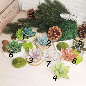 May include: Assortment of eight stained glass succulent plants in various colors, including green, blue, pink, and orange. Each succulent is displayed in a small white pot with moss and a wooden base.