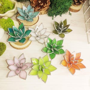 May include: Assortment of eight stained glass succulent plants in various colors, including green, blue, white, pink, orange, and yellow. Each succulent is crafted with glass pieces and set on a small wooden base.