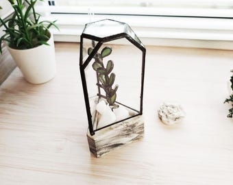 Mini glass terrarium shelf decor, fake plant stained glass succulent