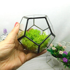 Geometric terrarium stained glass, indoor planter, Glass terrarium Container, Wedding decor, Succulent planter, Minimalistic home decor