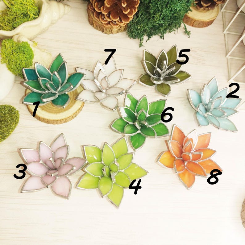 May include: Eight stained glass succulent plants in various colors, including green, white, blue, pink, and orange. Each succulent is numbered 1 through 8.