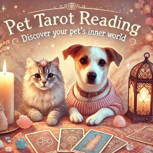 Op maat gemaakte paranormale tarotlegging voor je huisdier, dierenlezing