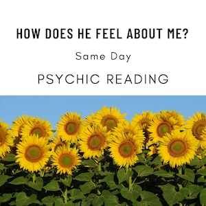 HOW DOES HE Feel About Me Tarot Reading, Psychic Reading, Love Reading, Same Day