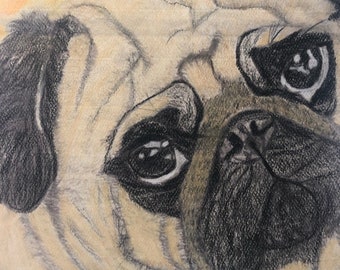 Custom Pug Pastel Drawing