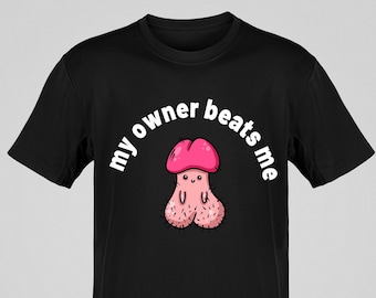 My Owner Beats Me T Shirt, Adult Humor, Raunchy Offensive Tshirts, Naughty Clothing, Inappropriate Shirts, Sarcastic Shirt, DDLG, BDMS