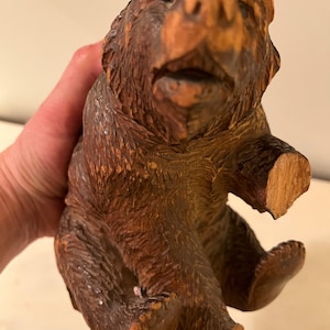 Schwarzwald Antik Grizzly Bär Augen 1930er Jahre Deutschland