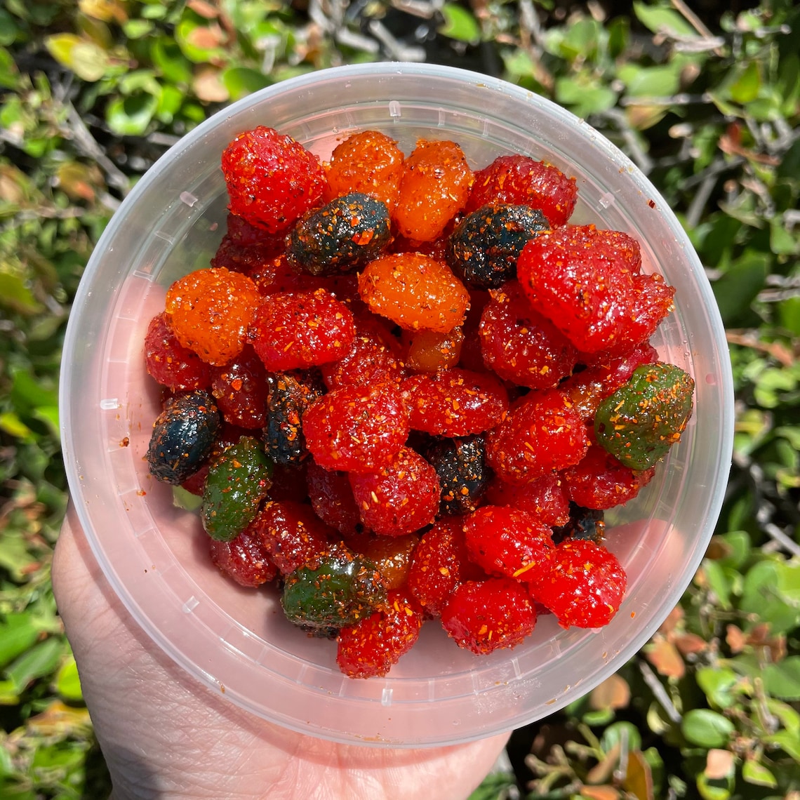 Gushers Chamoy covered MOST POPULAR Etsy