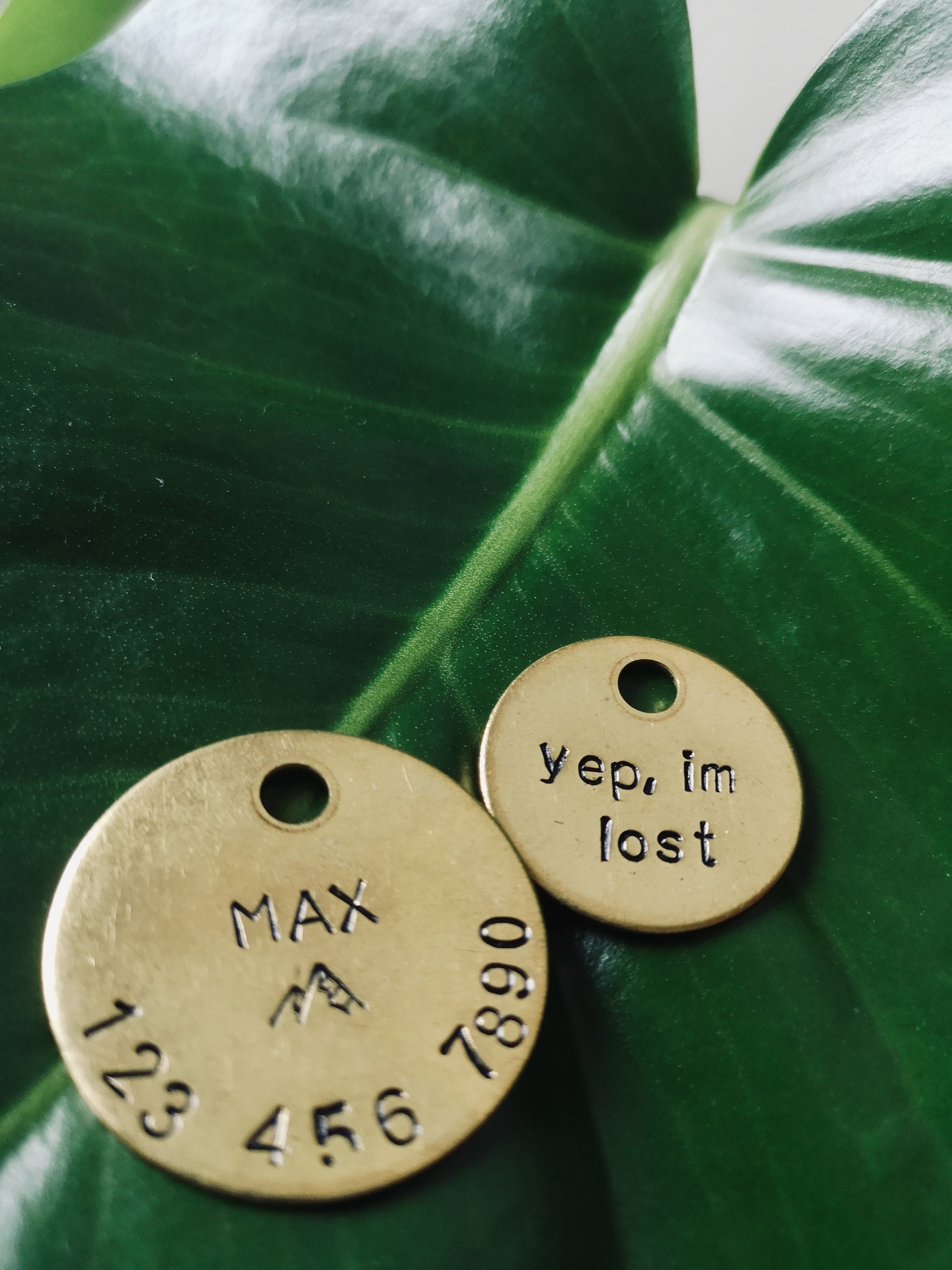 2 Piece Custom Dog Name Tags Dog Name Tag Dog ID Tag Etsy