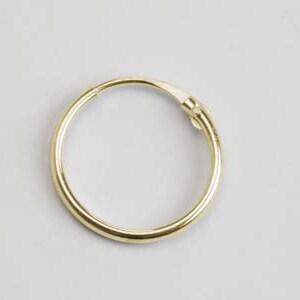 May include: A gold hoop earring with a smooth, polished finish.