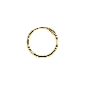 May include: A gold hoop earring with a hinged clasp.