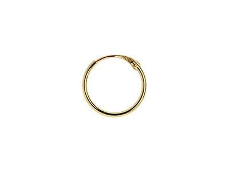 May include: A gold hoop earring with a hinged clasp.
