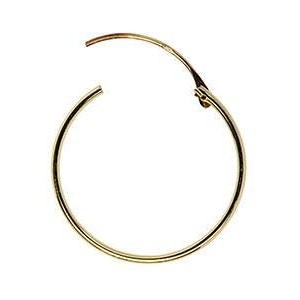 May include: Gold hoop earrings with a hinged clasp.