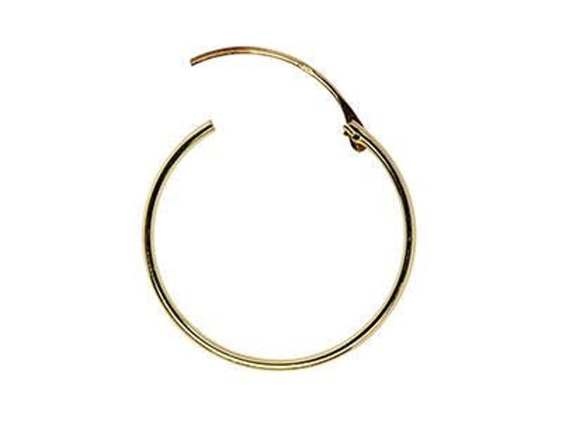 May include: Gold hoop earrings with a hinged clasp.
