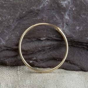 May include: A gold hoop earring with a smooth, polished finish.