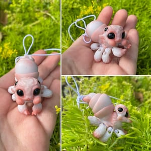 Spider Dragon: The Tiny Dragon Jumping Spider Ball Joint Doll BJD