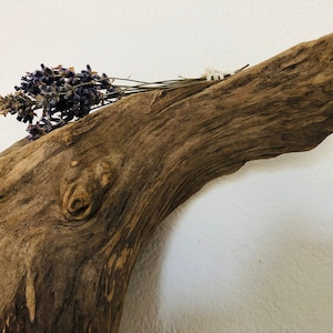 Driftwood, Branch, Key Hook, Wardrobe, Driftwood, Nature, Sustainable