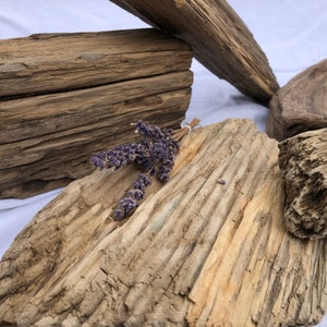 Driftwood, Decoration, Home, Garden, Balcony, Driftwood, Maritime, Nature