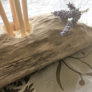 Driftwood, pen holder, desk, study, office, driftwood, pen, nature
