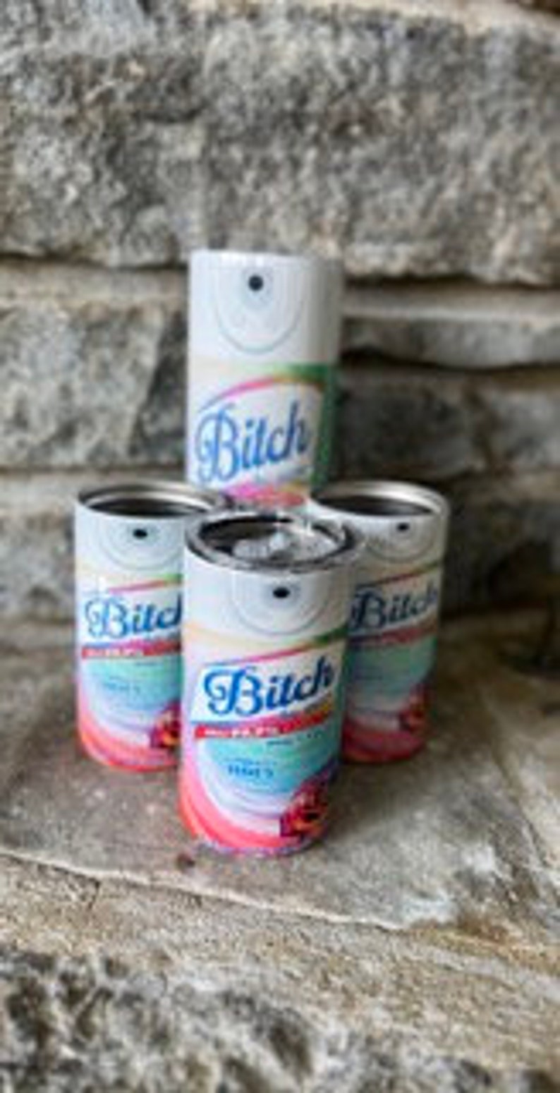 Btch Be Gone Spray Tumbler Funny Eliminates hoes Crisp Fuck off scent Lysol bitch spray image 2