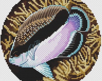 Angelfish Counted Cross Stitch Pattern, Banded Angelfish Bandit Cross Stitch Chart