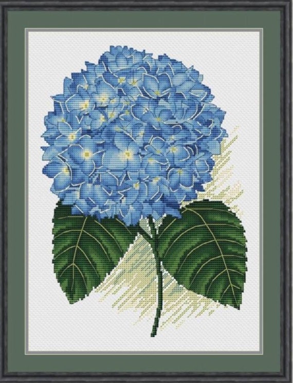 Hydrangea Size Chart