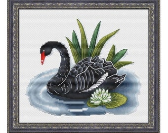 Black Swan with White Water Lily Counted Cross Stitch Pattern