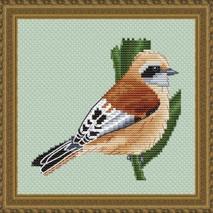 European Stonechat Counted Cross Stitch Pattern Little Summer image 10