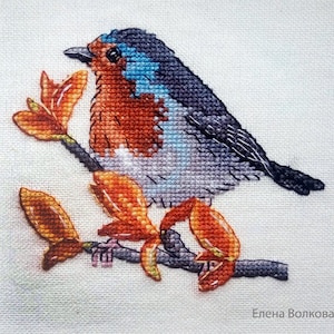 Robin Counted Cross Stitch Pattern, Robin Embroidery Chart image 2