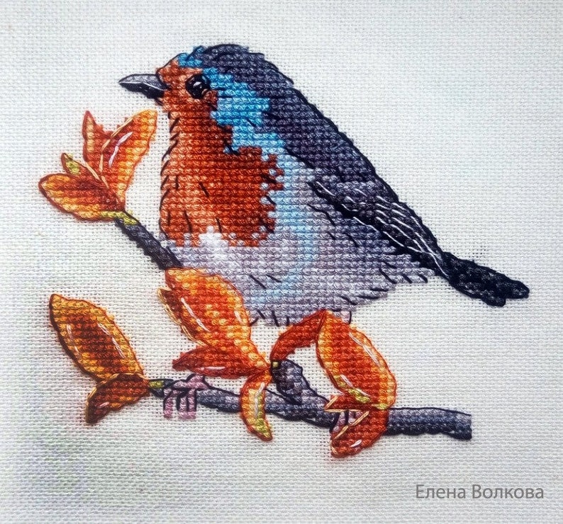Robin Counted Cross Stitch Pattern, Robin Embroidery Chart image 2