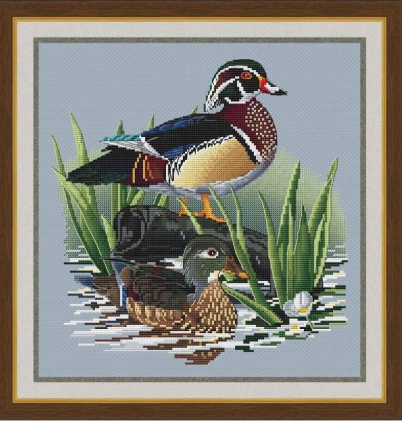 Wood Duck Counted Cross Stitch Pattern Carolina Duck Etsy