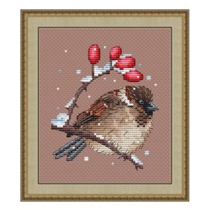 Sparrow Counted Cross Stitch Pattern, House Sparrow Cross Stitch Chart