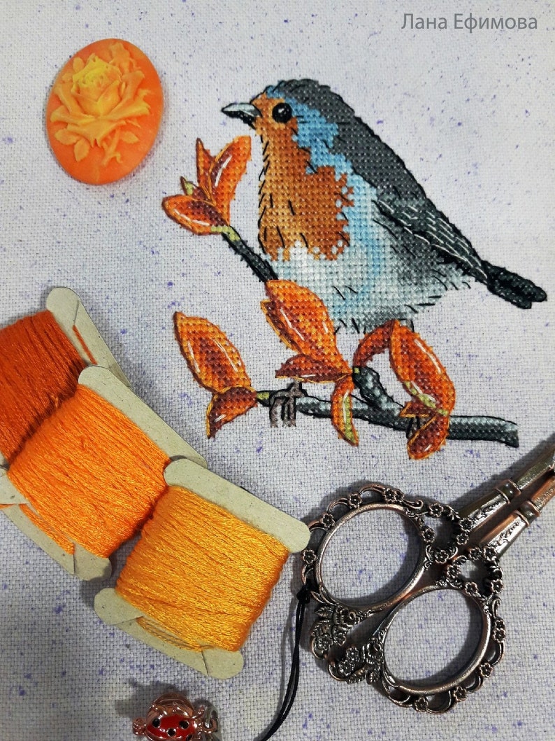 Robin Counted Cross Stitch Pattern, Robin Embroidery Chart image 3