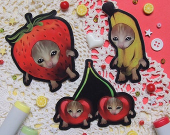 Fruit Cat Meme Vinyl Sticker