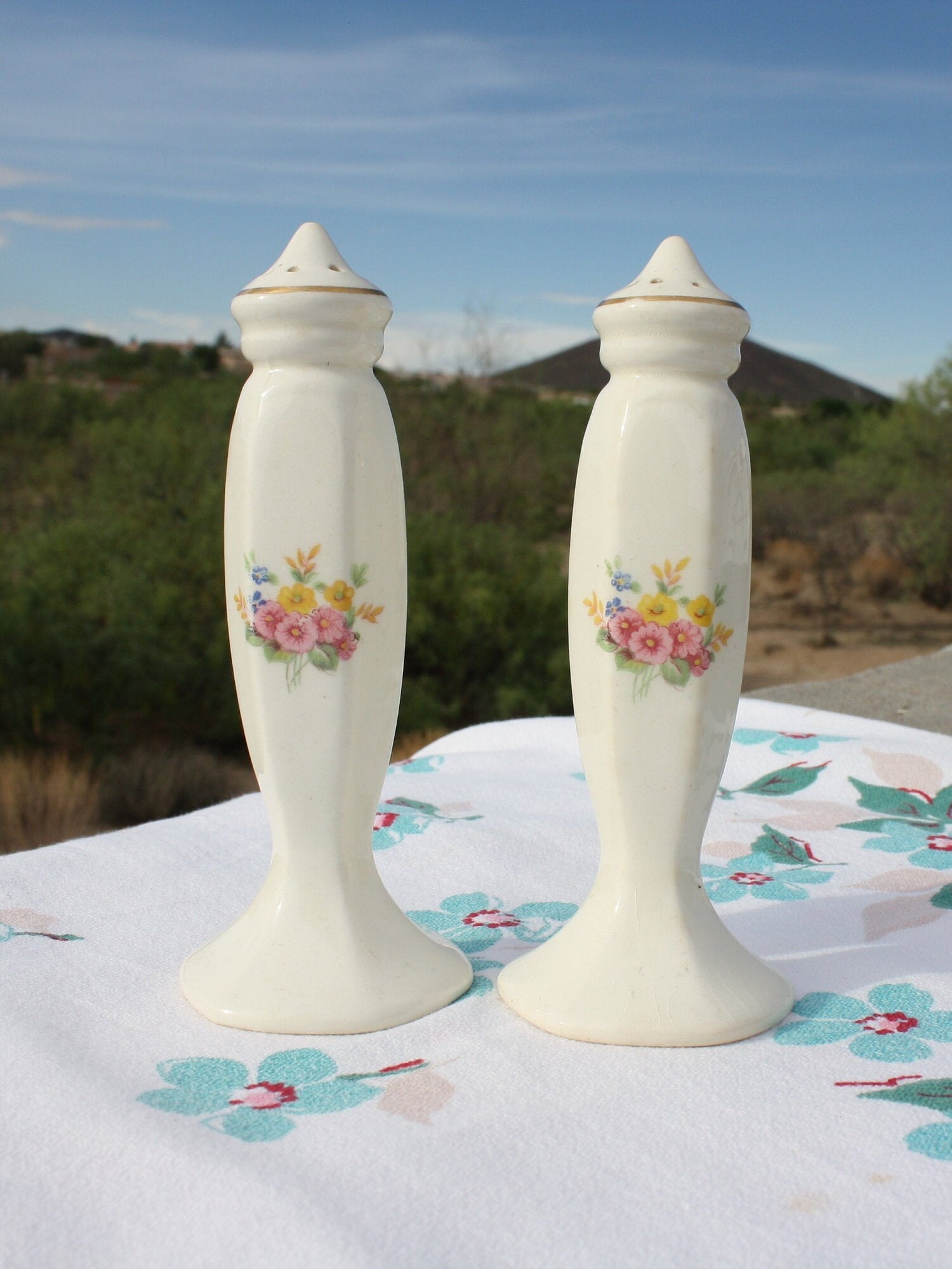 Novelty Salt and Pepper Shaker Set, Various Pairs, Choicesold Individually, Ceramic Salt and