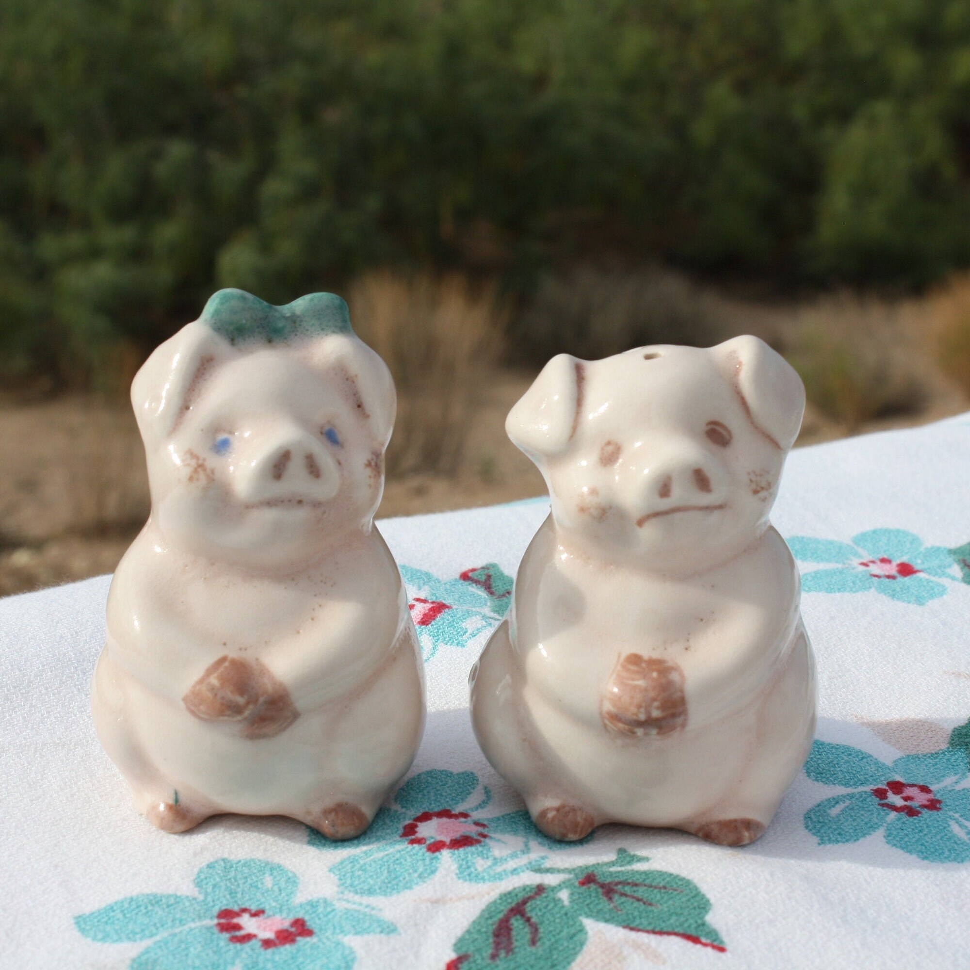 Novelty Salt and Pepper Shaker Set, Various Pairs, Choicesold