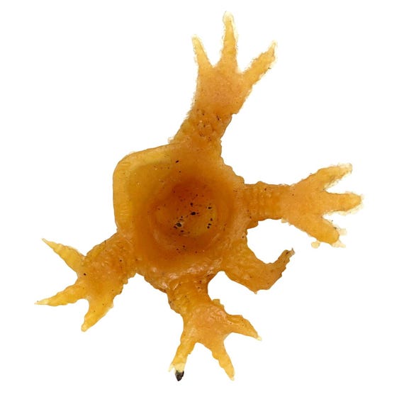 Vintage Rubber Uglies Monster, Tan Jiggler, Hong Kong, 1970s