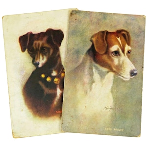 May include: Two vintage dog portraits. One features a brown dog with a gold bell collar, the other a white and brown dog. The portraits are on aged, rectangular cards with the number 5558 and the name "PRINCE" printed on one.