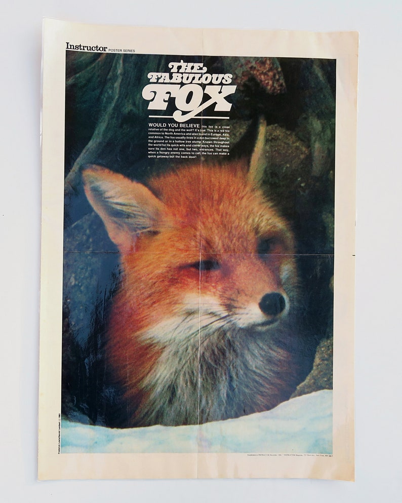 December 1980 2-sided Classroom Calendar & Bat Poster - Etsy
