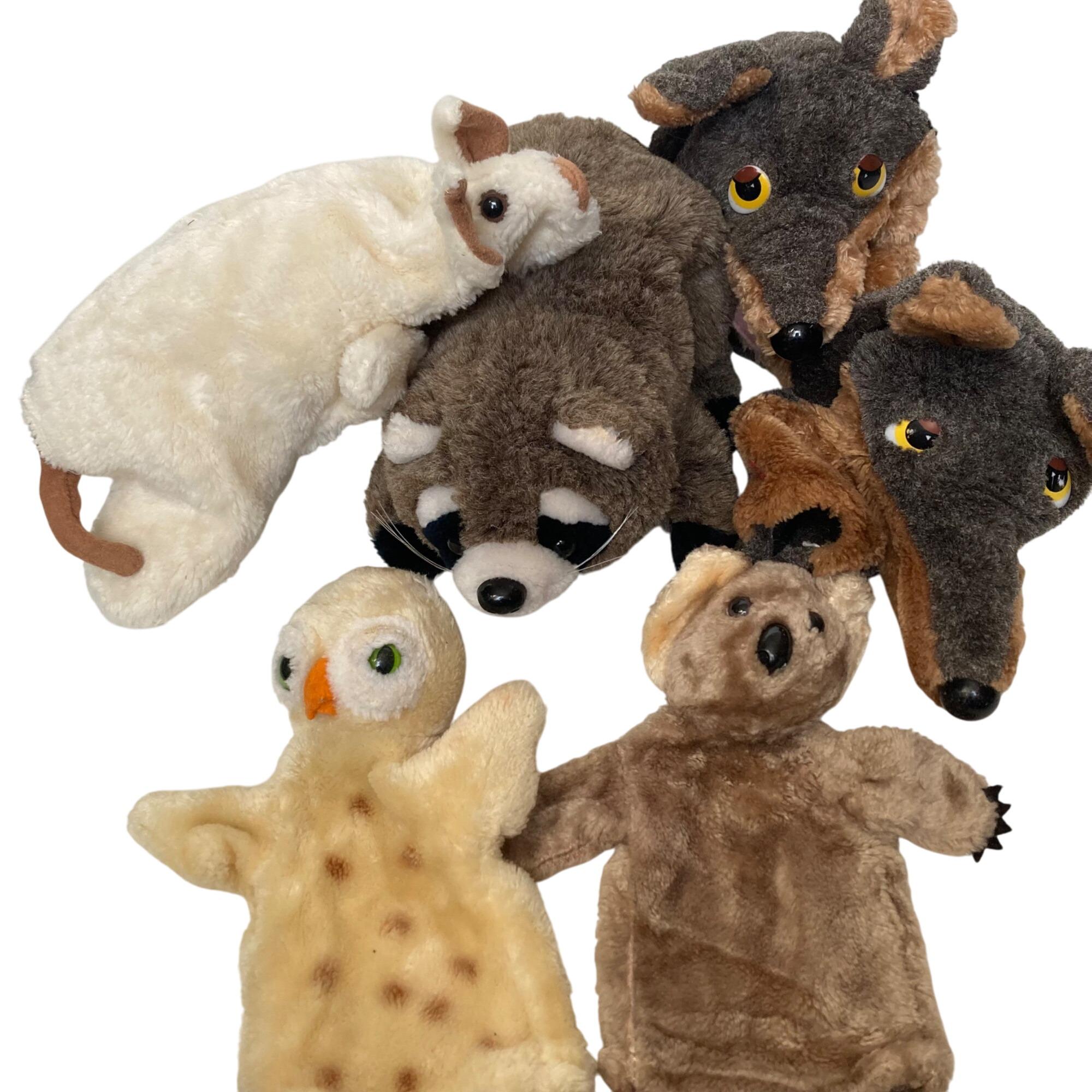 Dakin raccoon - Etsy 日本