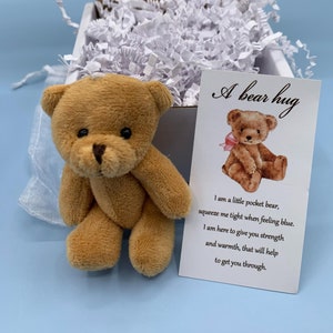 Regalo de osito de bolsillo, osito de peluche en miniatura, regalo de simpatía, regalo de consuelo con tarjeta de poema, caja de regalo de cumpleaños, regalo de San Valentín, osito de peluche, canasta de Pascua