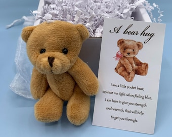 Vintage 1970's Steiff Mohair Teddy Bear 0201/19 Collectible