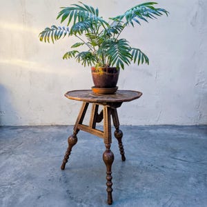 May include: A detailed wooden side table with a round top and three legs. A potted plant with green leaves is on the table. The table is brown and has decorative carvings around the edge of the tabletop and on the legs. The table is approximately 60 cm tall.