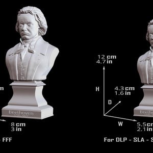 Ludwig van Beethoven bust model printing miniature assembly file stl-obj for 3D Printer afbeelding 13